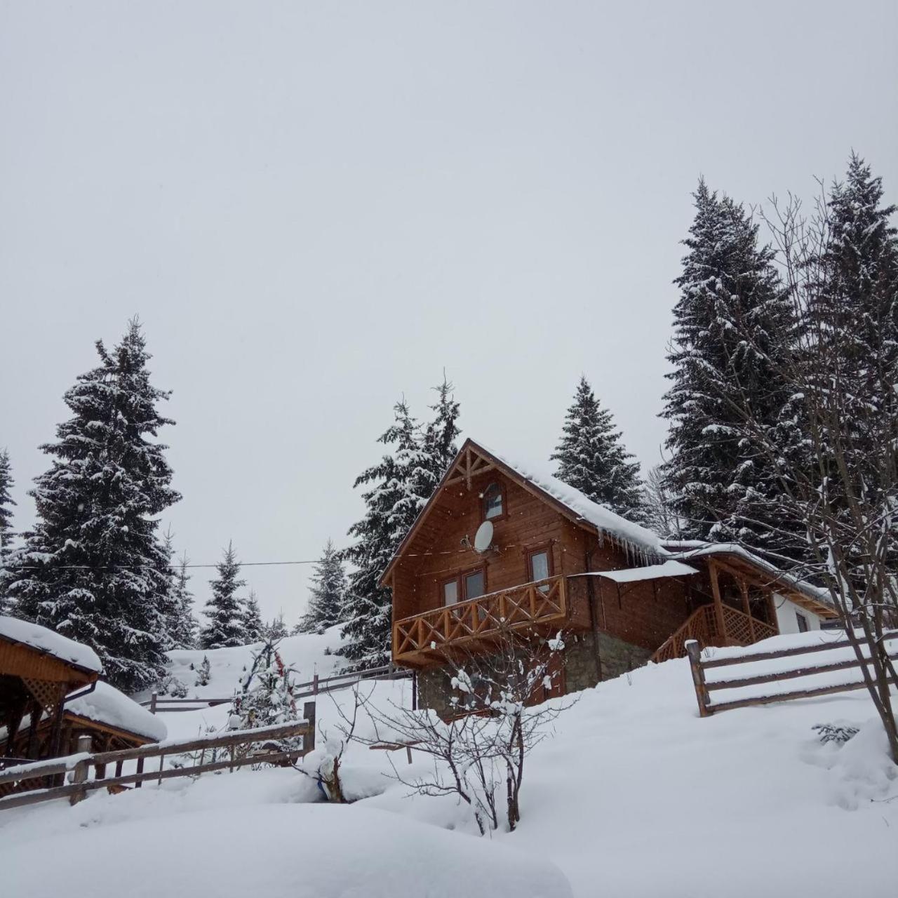 Kotedgi " U Jani " Villa Yablunytsya Exterior photo